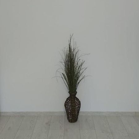 Apartament Polly ! เอโฟรีเอซูด ภายนอก รูปภาพ